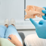 Dentist pointing at a jawbone model to a dental patient.
